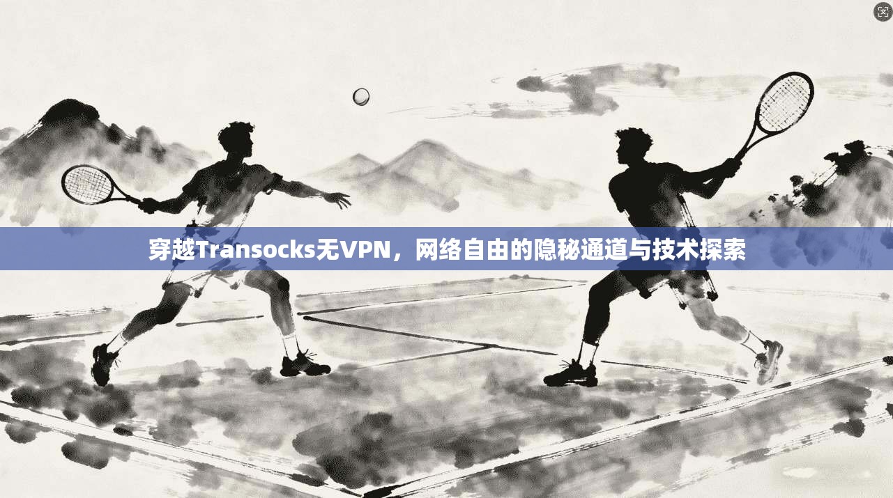 穿越Transocks无VPN，网络自由的隐秘通道与技术探索  第1张