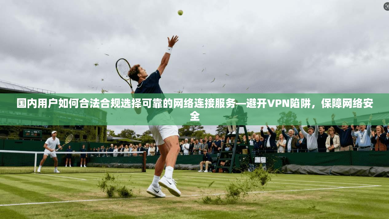 国内用户如何合法合规选择可靠的网络连接服务—避开VPN陷阱,保障网络安全 第1张 国内用户如何合法合规选择可靠的网络连接服务—避开VPN陷阱,保障网络安全 第1张