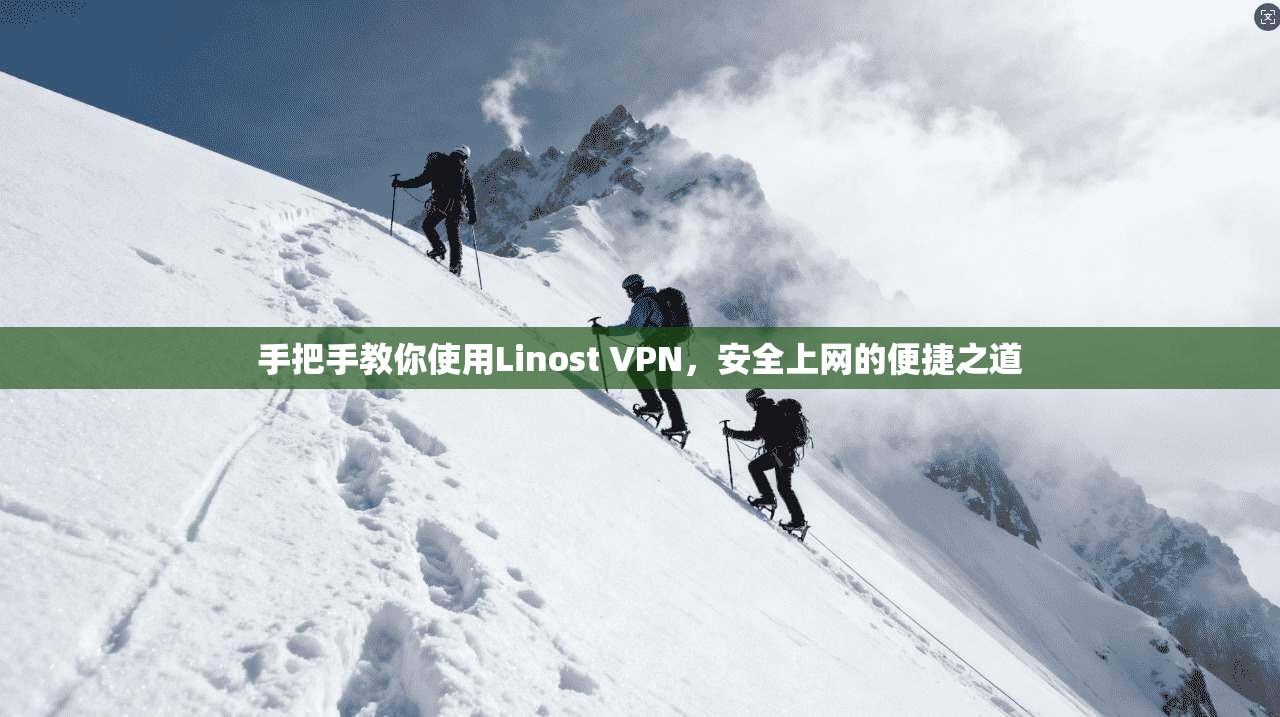 手把手教你使用Linost VPN,安全上网的便捷之道 第1张 手把手教你使用Linost VPN,安全上网的便捷之道 第1张