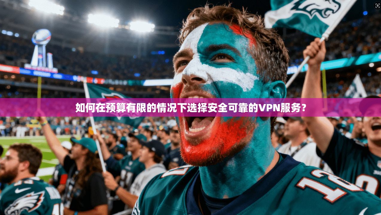 如何在预算有限的情况下选择安全可靠的VPN服务? 第1张 如何在预算有限的情况下选择安全可靠的VPN服务? 第1张