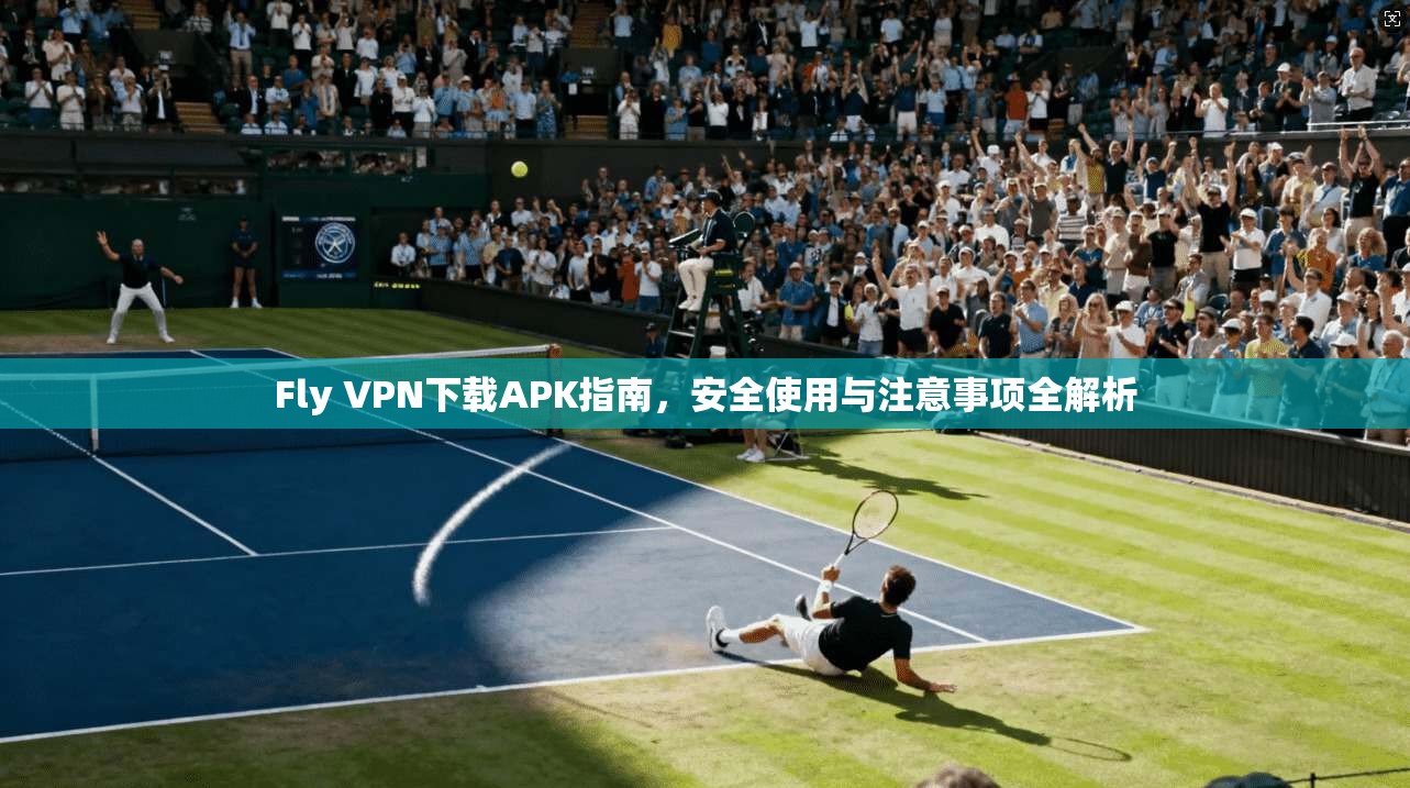 Fly VPN下载APK指南,安全使用与注意事项全解析 第1张 Fly VPN下载APK指南,安全使用与注意事项全解析 第1张