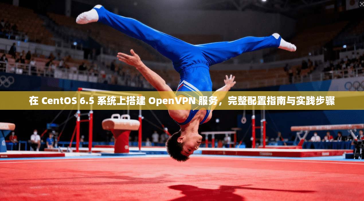 在 CentOS 6.5 系统上搭建 OpenVPN 服务，完整配置指南与实践步骤  第1张