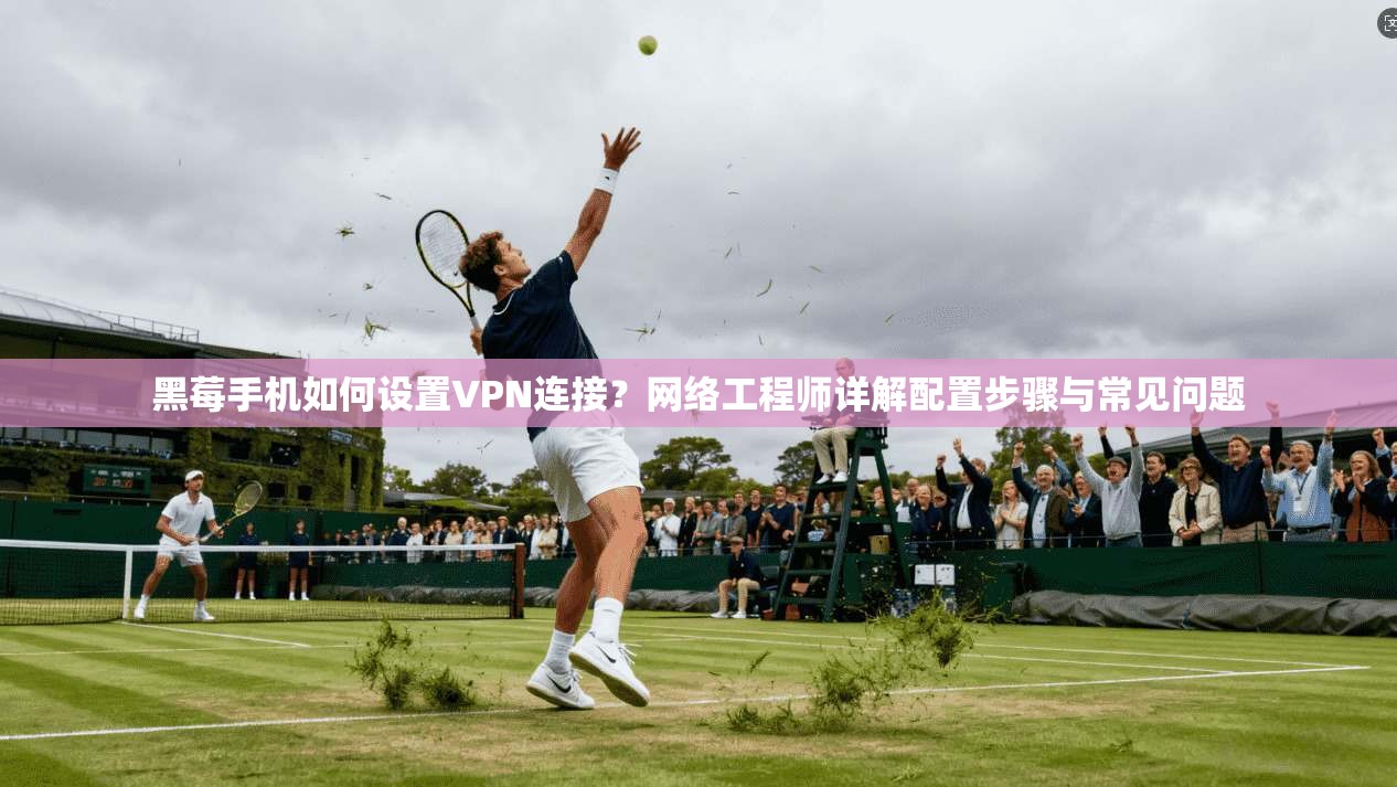 黑莓手机如何设置VPN连接？网络工程师详解配置步骤与常见问题  第1张