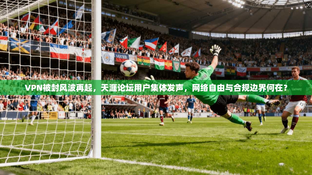 VPN被封风波再起，天涯论坛用户集体发声，网络自由与合规边界何在？  第1张
