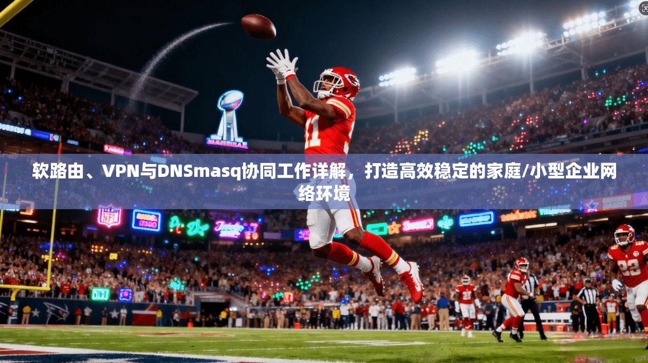 软路由、VPN与DNSmasq协同工作详解，打造高效稳定的家庭/小型企业网络环境  第1张