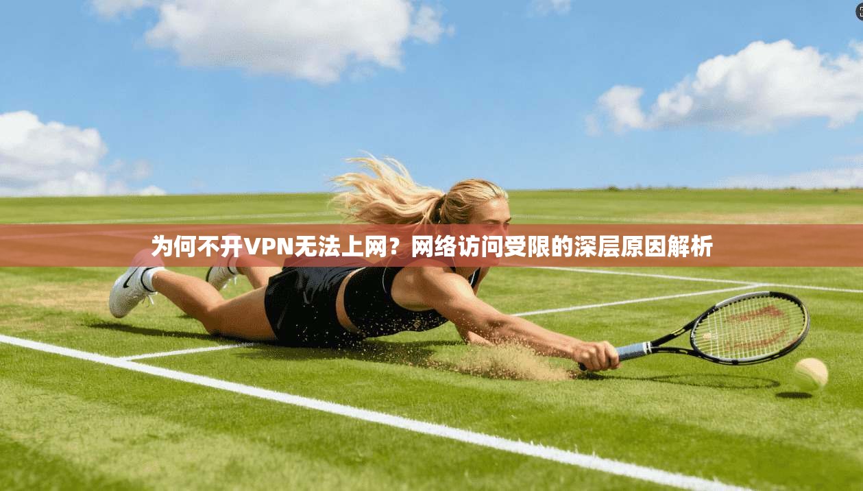 为何不开VPN无法上网?网络访问受限的深层原因解析 第1张 为何不开VPN无法上网?网络访问受限的深层原因解析 第1张