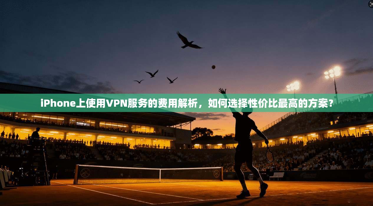 iPhone上使用VPN服务的费用解析，如何选择性价比最高的方案？  第1张