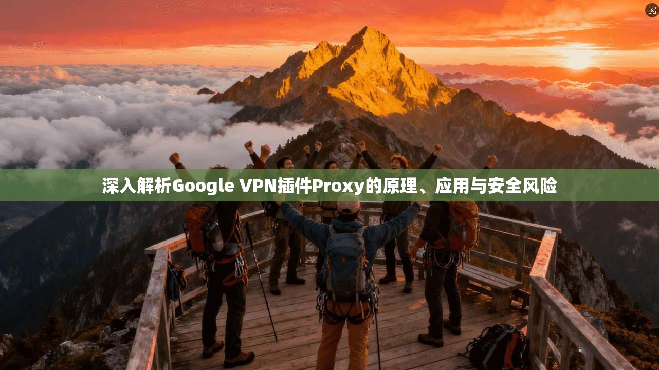 深入解析Google VPN插件Proxy的原理、应用与安全风险  第1张
