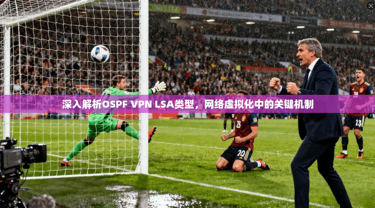 深入解析OSPF VPN LSA类型,网络虚拟化中的关键机制 第1张 深入解析OSPF VPN LSA类型,网络虚拟化中的关键机制 第1张