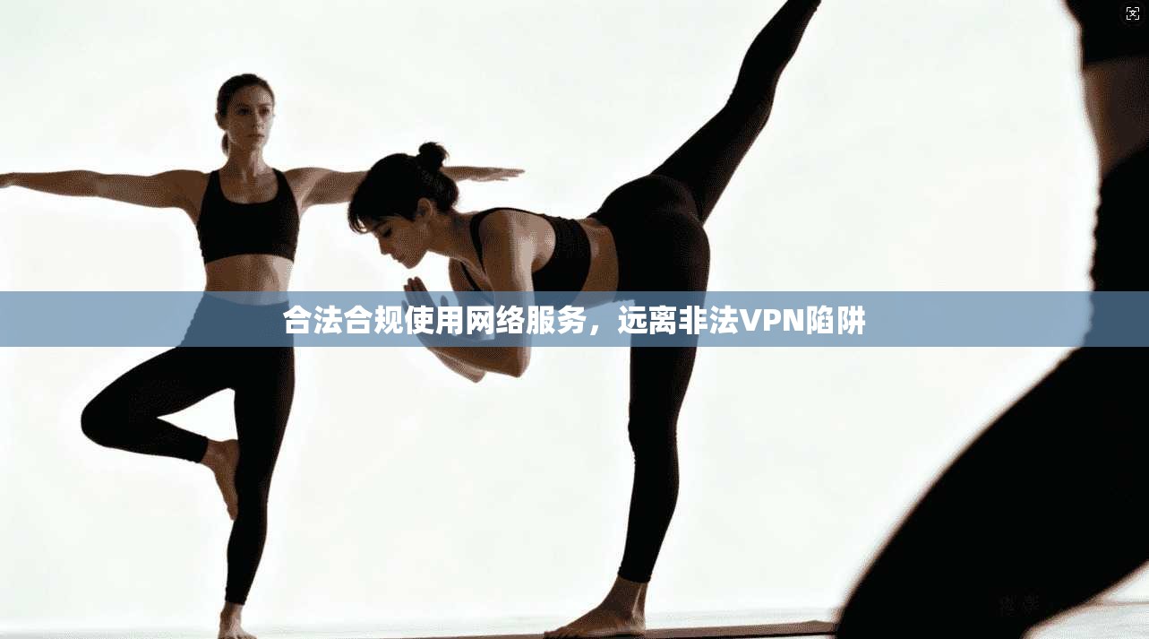 合法合规使用网络服务，远离非法VPN陷阱  第1张
