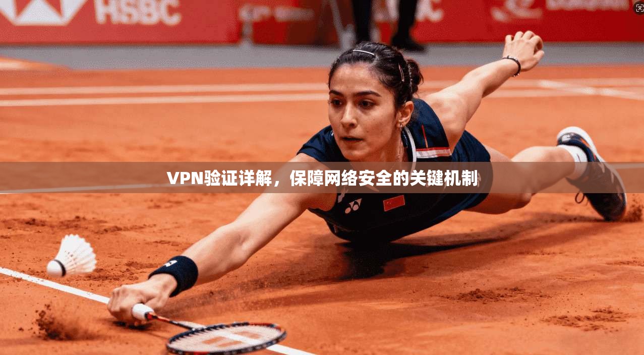 VPN验证详解，保障网络安全的关键机制  第1张