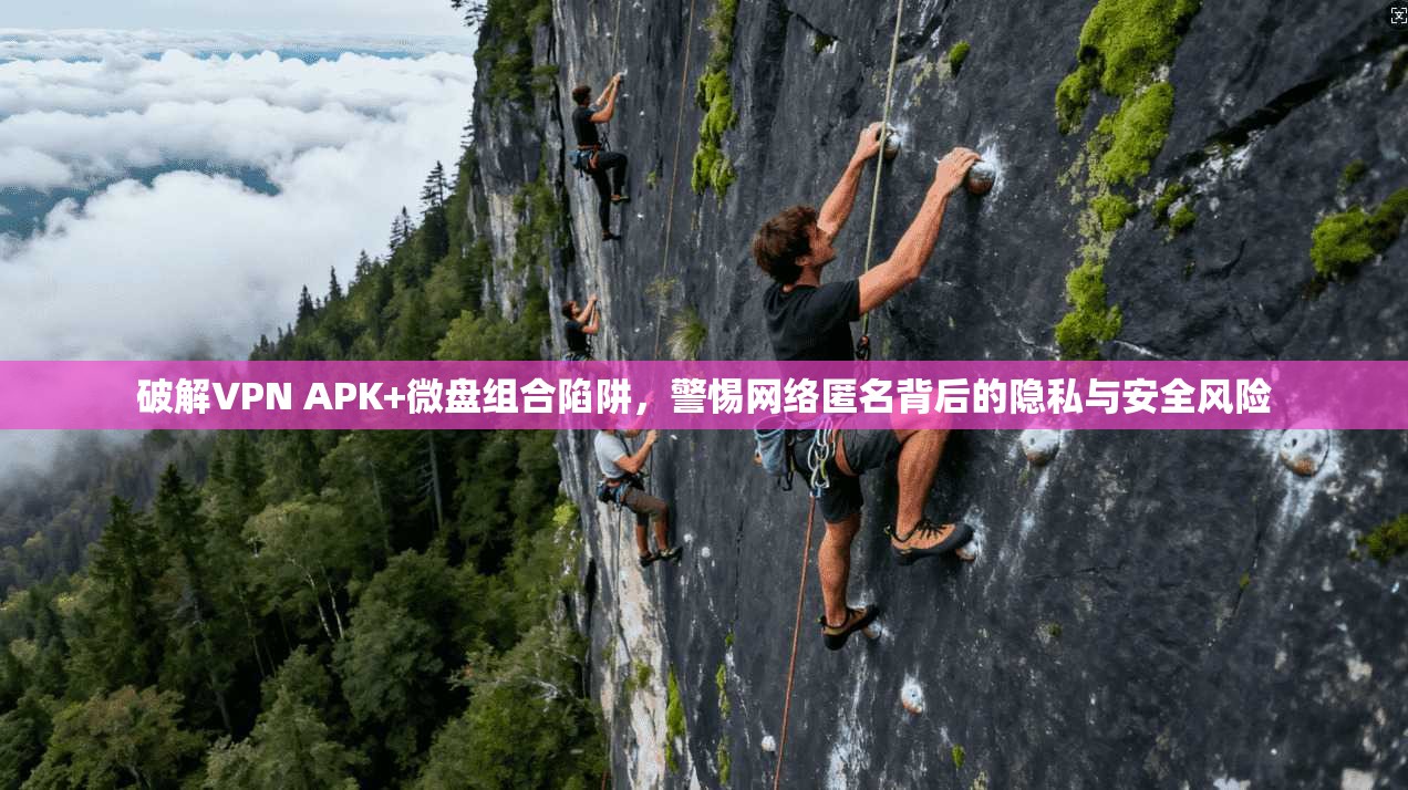 破解VPN APK+微盘组合陷阱，警惕网络匿名背后的隐私与安全风险  第1张