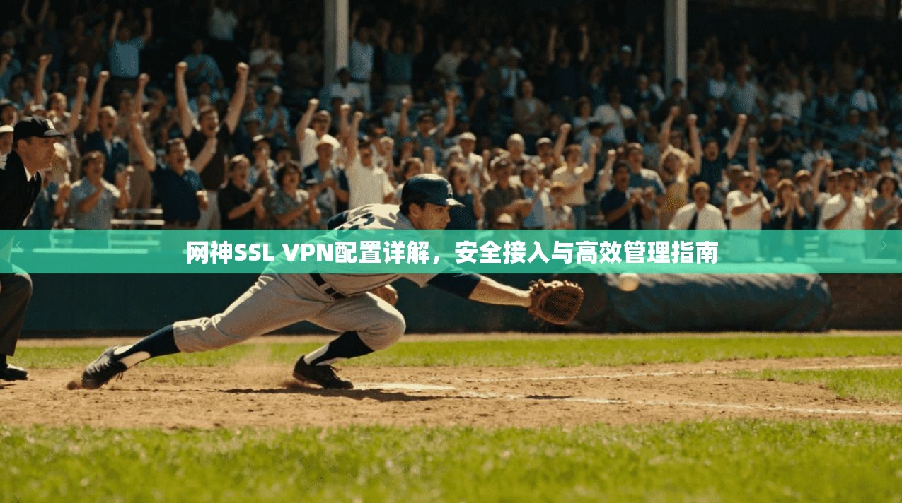 网神SSL VPN配置详解,安全接入与高效管理指南 第1张 网神SSL VPN配置详解,安全接入与高效管理指南 第1张