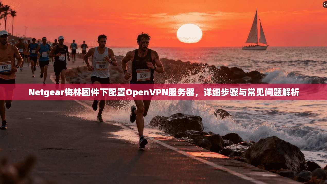 Netgear梅林固件下配置OpenVPN服务器，详细步骤与常见问题解析  第1张