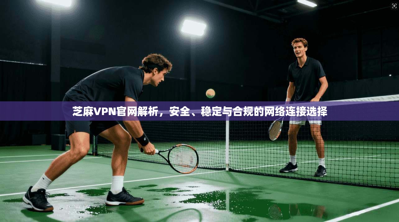 芝麻VPN官网解析，安全、稳定与合规的网络连接选择  第1张