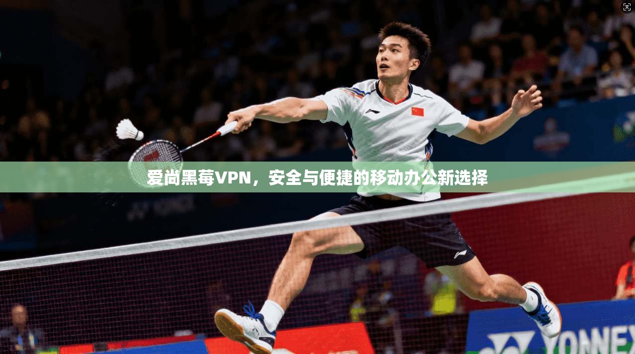 爱尚黑莓VPN,安全与便捷的移动办公新选择 第1张 爱尚黑莓VPN,安全与便捷的移动办公新选择 第1张