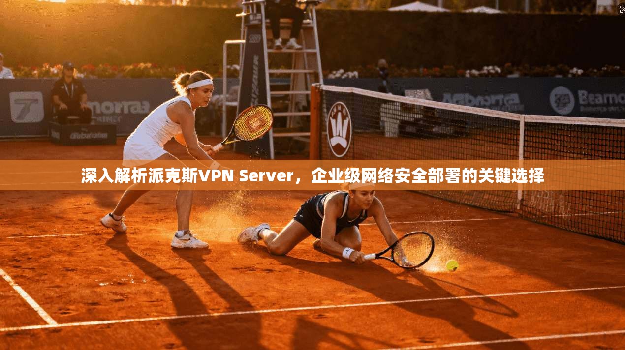 深入解析派克斯VPN Server,企业级网络安全部署的关键选择 第1张 深入解析派克斯VPN Server,企业级网络安全部署的关键选择 第1张