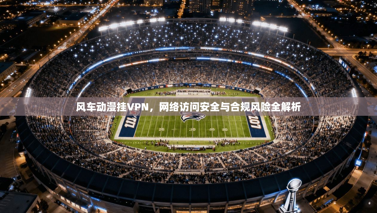 风车动漫挂VPN，网络访问安全与合规风险全解析  第1张