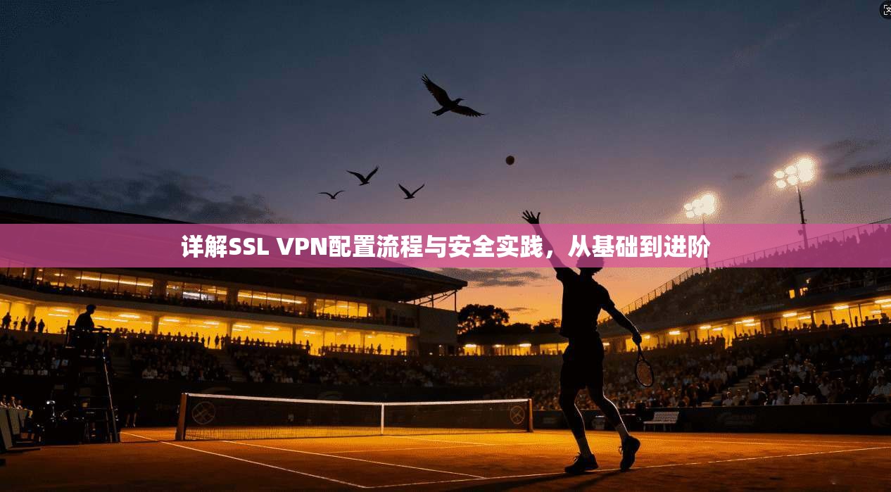详解SSL VPN配置流程与安全实践,从基础到进阶 第1张 详解SSL VPN配置流程与安全实践,从基础到进阶 第1张