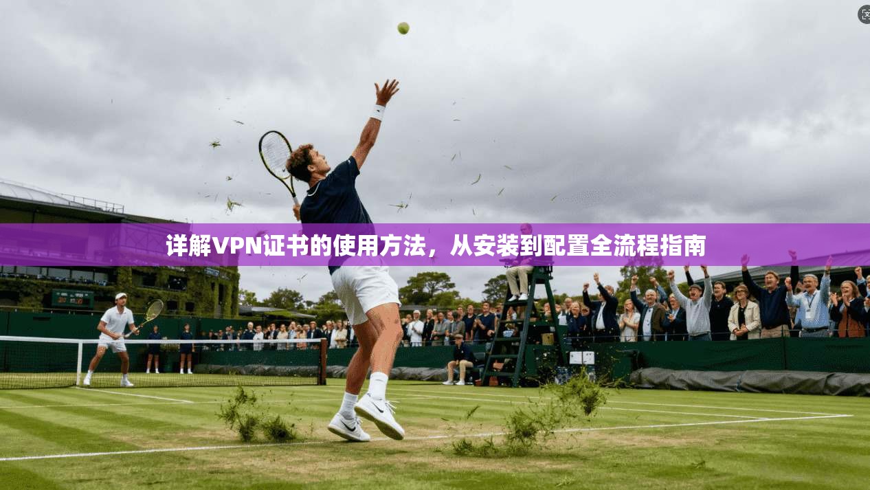 详解VPN证书的使用方法，从安装到配置全流程指南  第1张