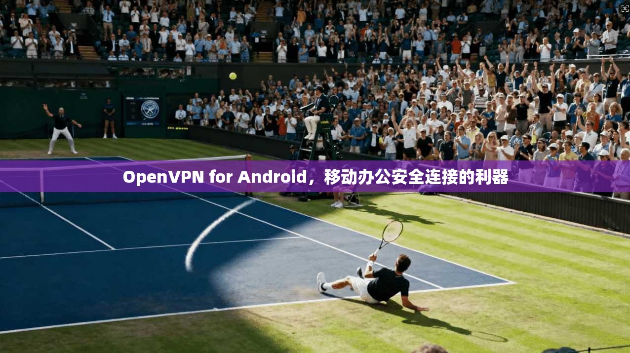 OpenVPN for Android，移动办公安全连接的利器  第1张