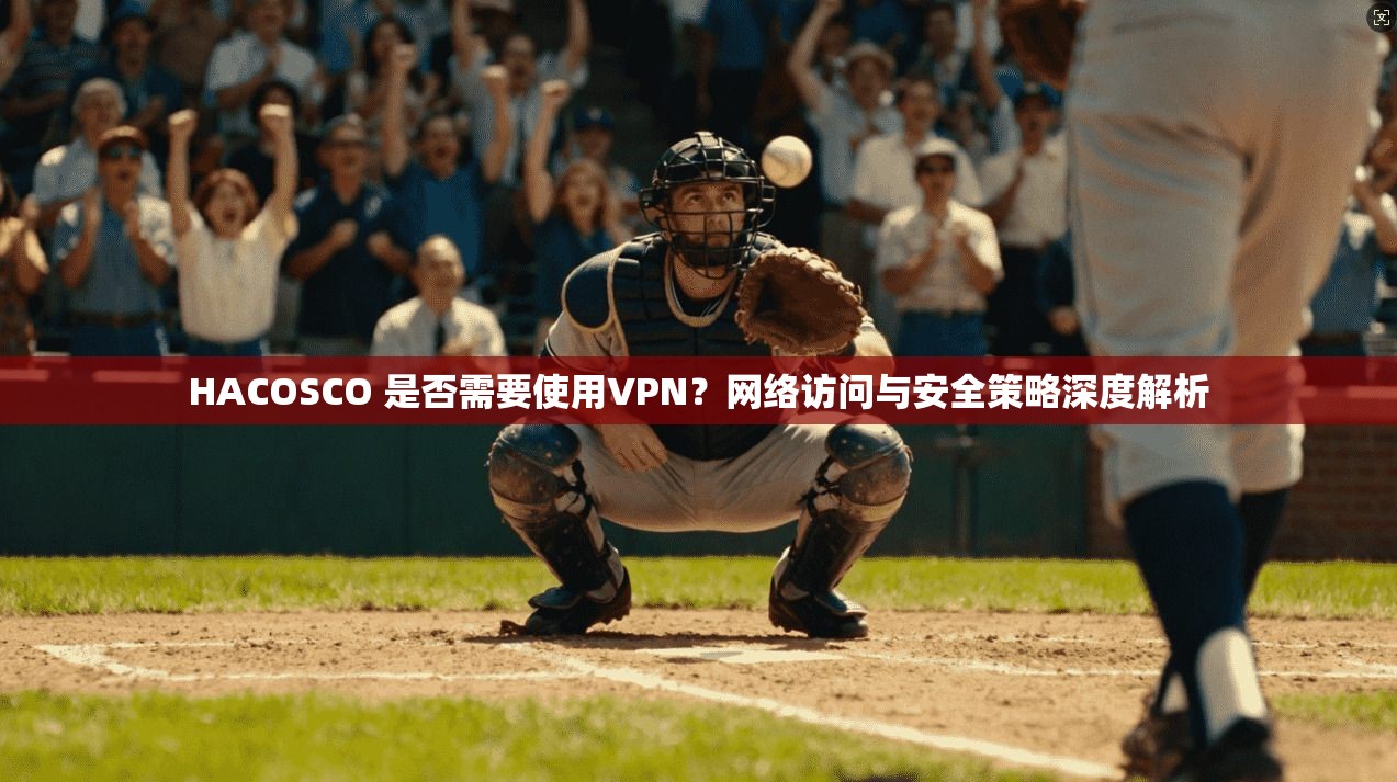 HACOSCO 是否需要使用VPN？网络访问与安全策略深度解析  第1张
