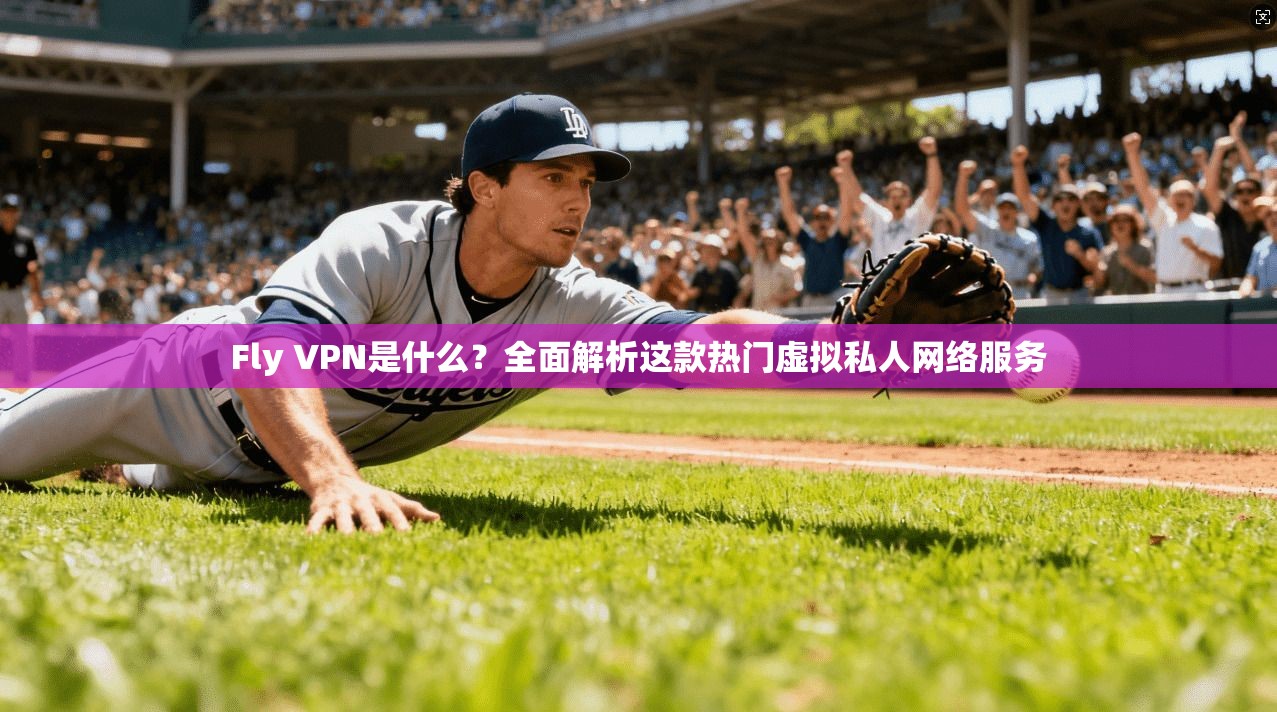 Fly VPN是什么?全面解析这款热门虚拟私人网络服务 第1张 Fly VPN是什么?全面解析这款热门虚拟私人网络服务 第1张