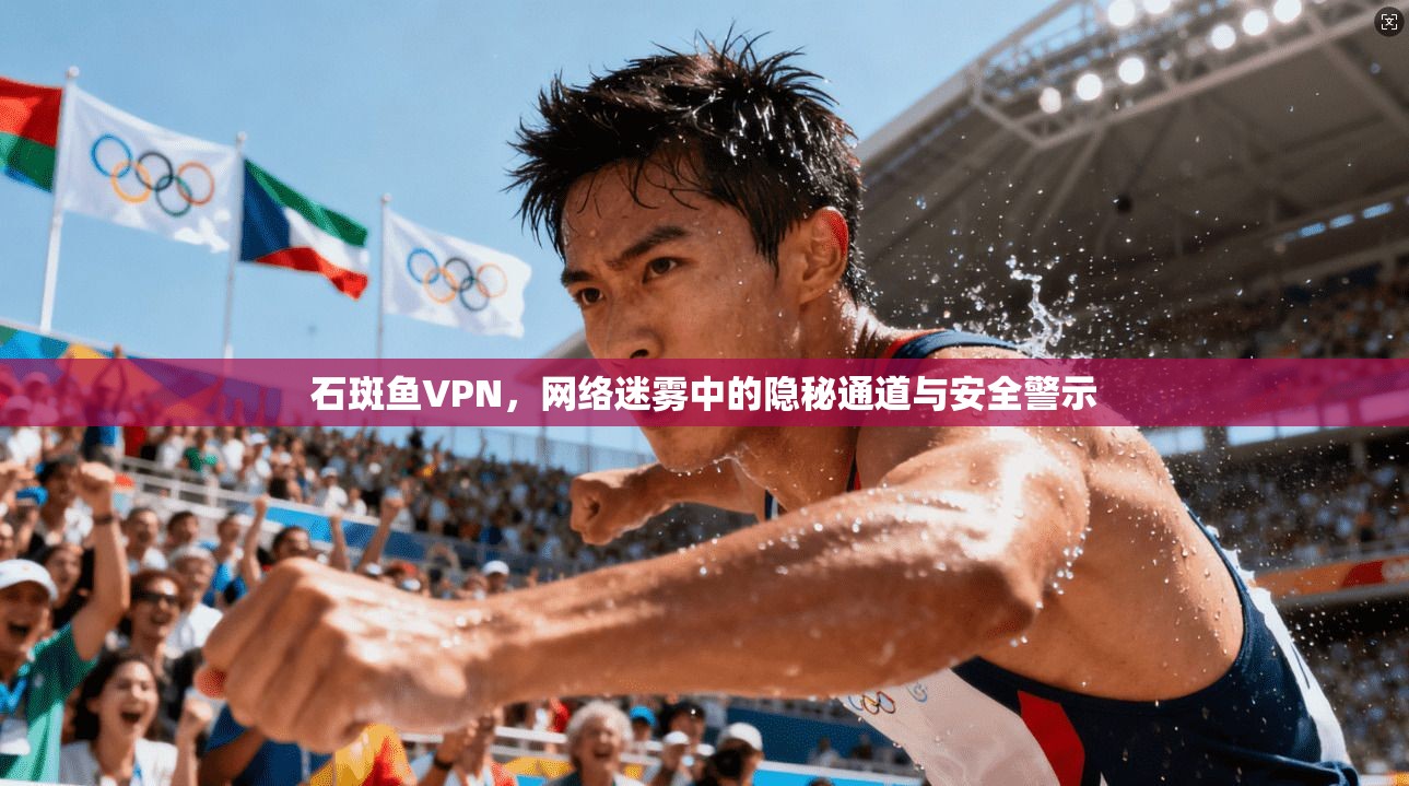 石斑鱼VPN，网络迷雾中的隐秘通道与安全警示  第1张