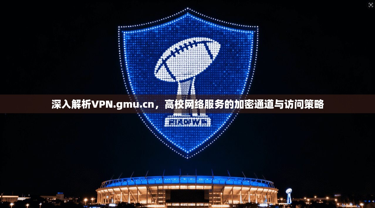深入解析VPN.gmu.cn，高校网络服务的加密通道与访问策略  第1张