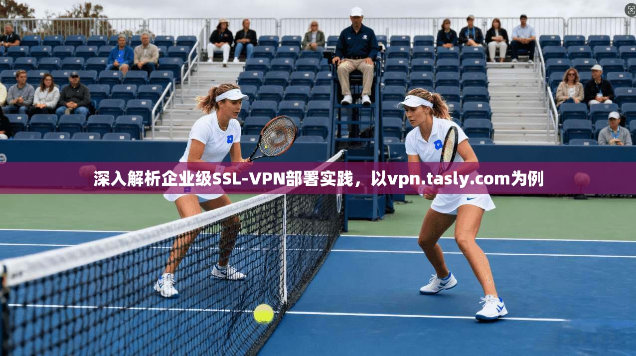 深入解析企业级SSL-VPN部署实践，以vpn.tasly.com为例  第1张