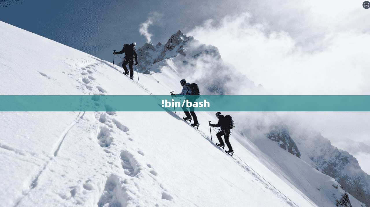 !bin/bash 第1张 !bin/bash 第1张