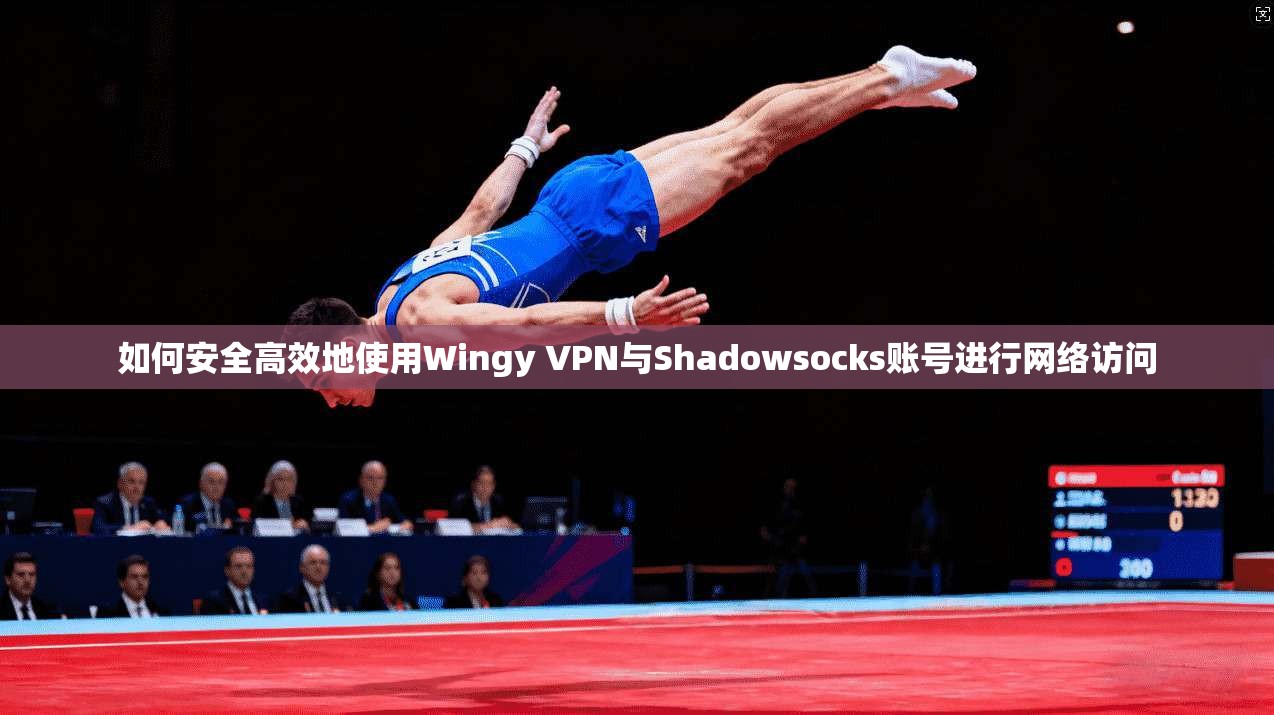 如何安全高效地使用Wingy VPN与Shadowsocks账号进行网络访问 第1张 如何安全高效地使用Wingy VPN与Shadowsocks账号进行网络访问 第1张