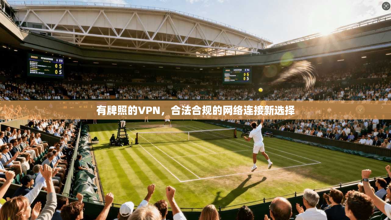 有牌照的VPN,合法合规的网络连接新选择 第1张 有牌照的VPN,合法合规的网络连接新选择 第1张