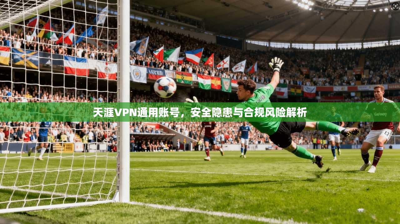 天涯VPN通用账号,安全隐患与合规风险解析 第1张 天涯VPN通用账号,安全隐患与合规风险解析 第1张