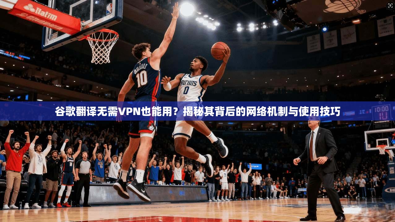 谷歌翻译无需VPN也能用?揭秘其背后的网络机制与使用技巧 第1张 谷歌翻译无需VPN也能用?揭秘其背后的网络机制与使用技巧 第1张