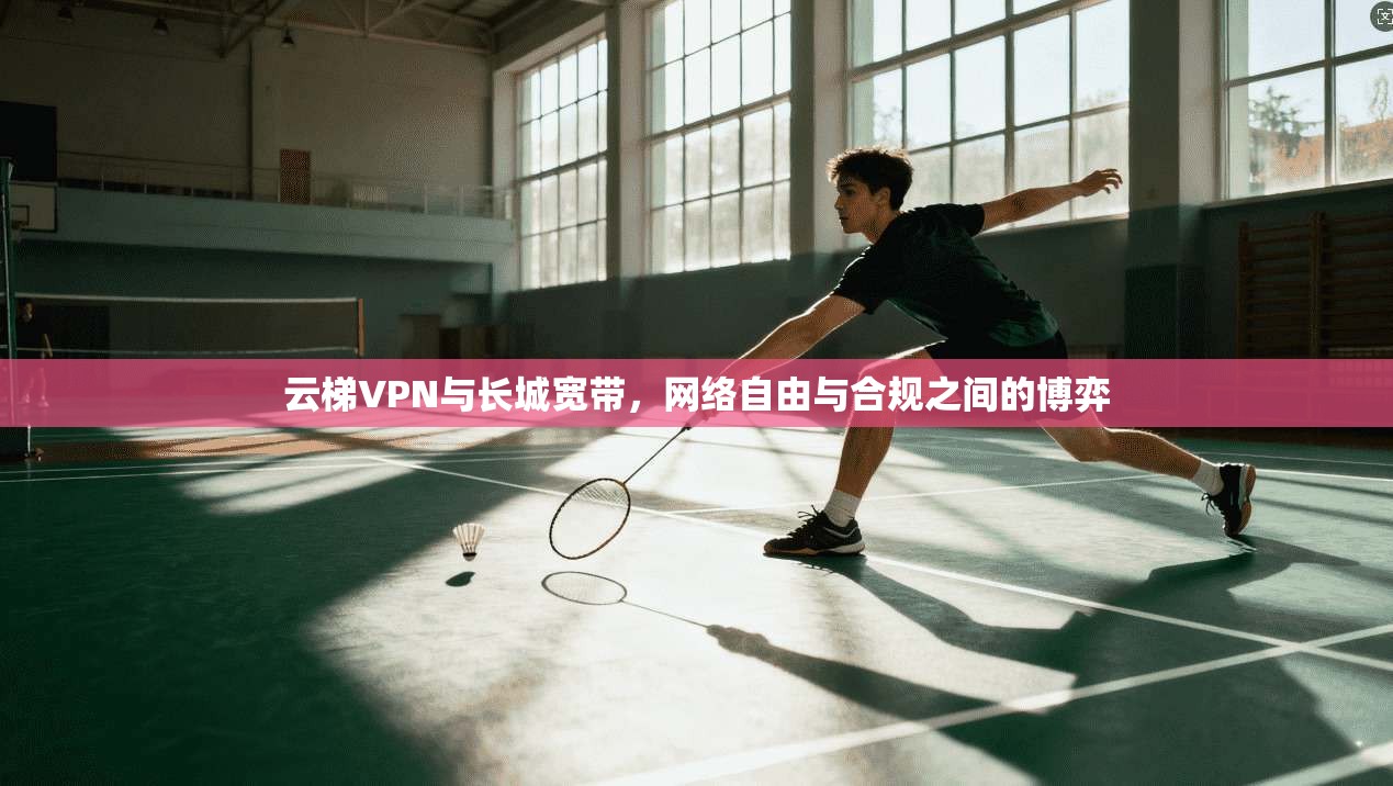 云梯VPN与长城宽带，网络自由与合规之间的博弈  第1张