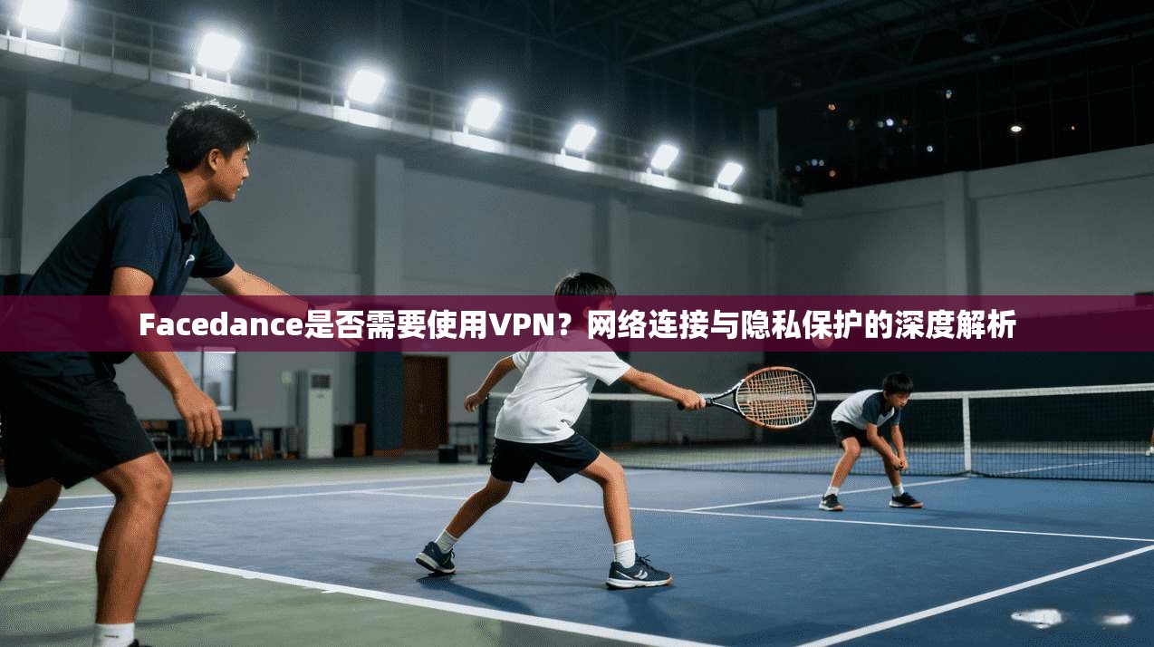 Facedance是否需要使用VPN？网络连接与隐私保护的深度解析  第1张