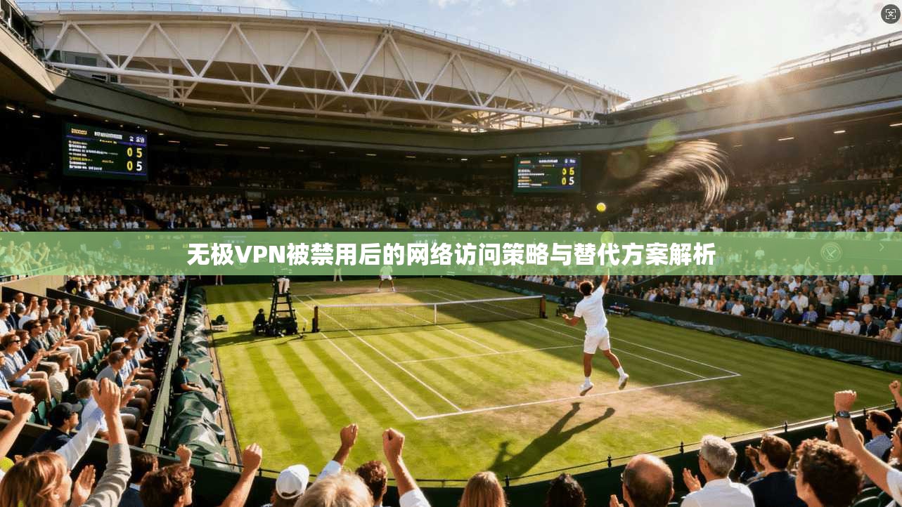 无极VPN被禁用后的网络访问策略与替代方案解析  第1张