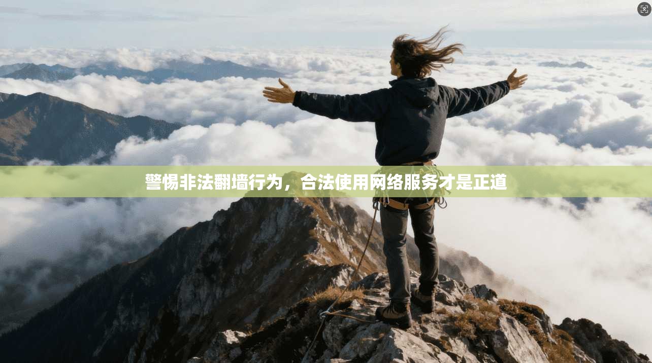 警惕非法翻墙行为,合法使用网络服务才是正道 第1张 警惕非法翻墙行为,合法使用网络服务才是正道 第1张