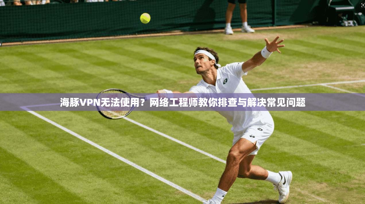 海豚VPN无法使用?网络工程师教你排查与解决常见问题 第1张 海豚VPN无法使用?网络工程师教你排查与解决常见问题 第1张