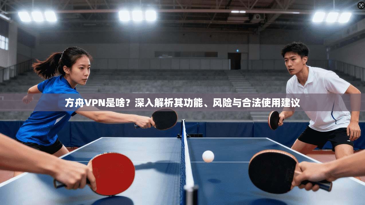 方舟VPN是啥?深入解析其功能、风险与合法使用建议 第1张 方舟VPN是啥?深入解析其功能、风险与合法使用建议 第1张