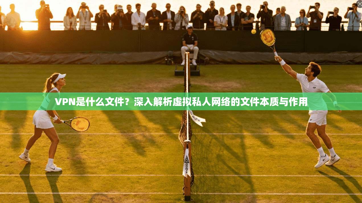 VPN是什么文件?深入解析虚拟私人网络的文件本质与作用 第1张 VPN是什么文件?深入解析虚拟私人网络的文件本质与作用 第1张