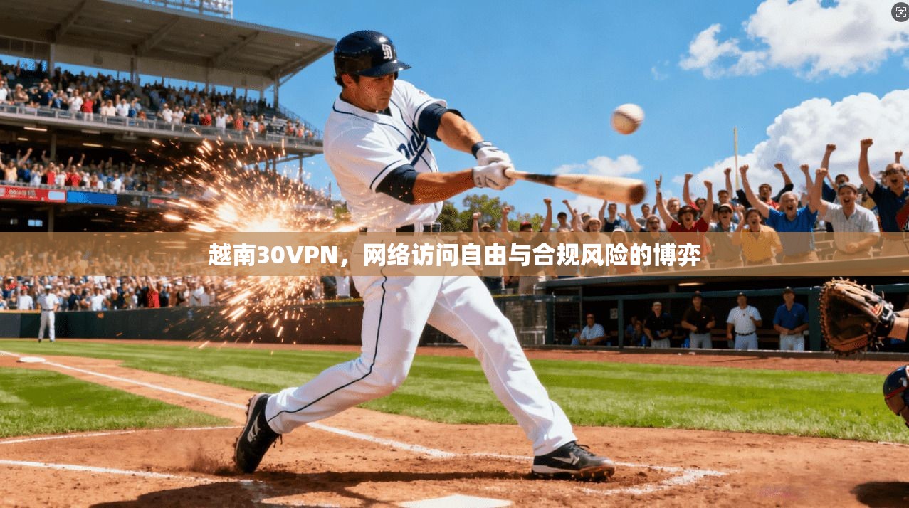 越南30VPN，网络访问自由与合规风险的博弈  第1张