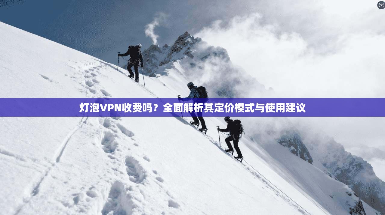 灯泡VPN收费吗?全面解析其定价模式与使用建议 第1张 灯泡VPN收费吗?全面解析其定价模式与使用建议 第1张