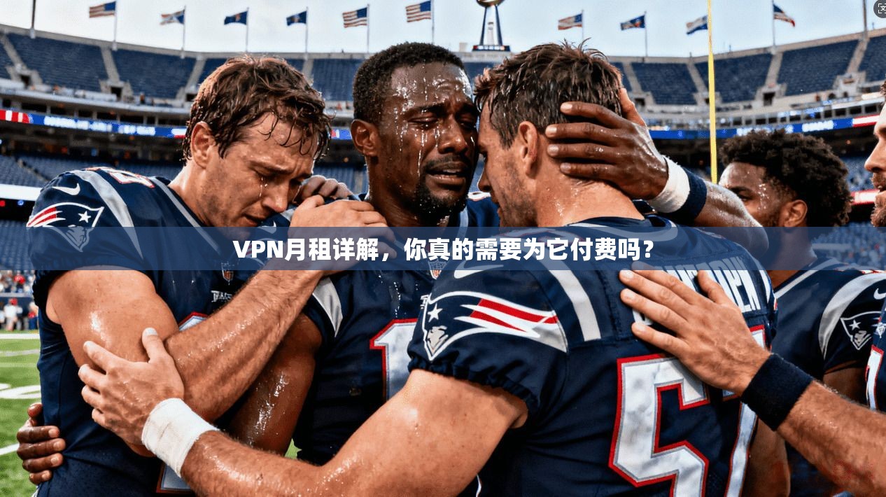 VPN月租详解,你真的需要为它付费吗? 第1张 VPN月租详解,你真的需要为它付费吗? 第1张