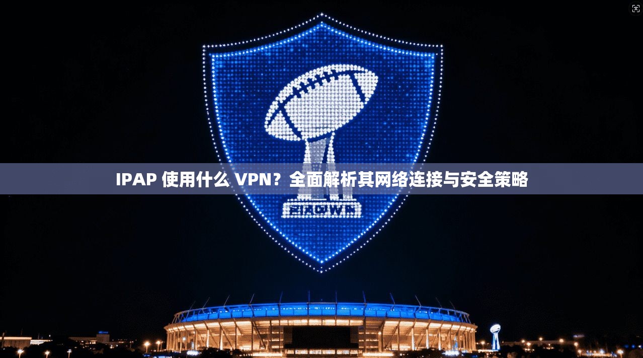 IPAP 使用什么 VPN？全面解析其网络连接与安全策略  第1张