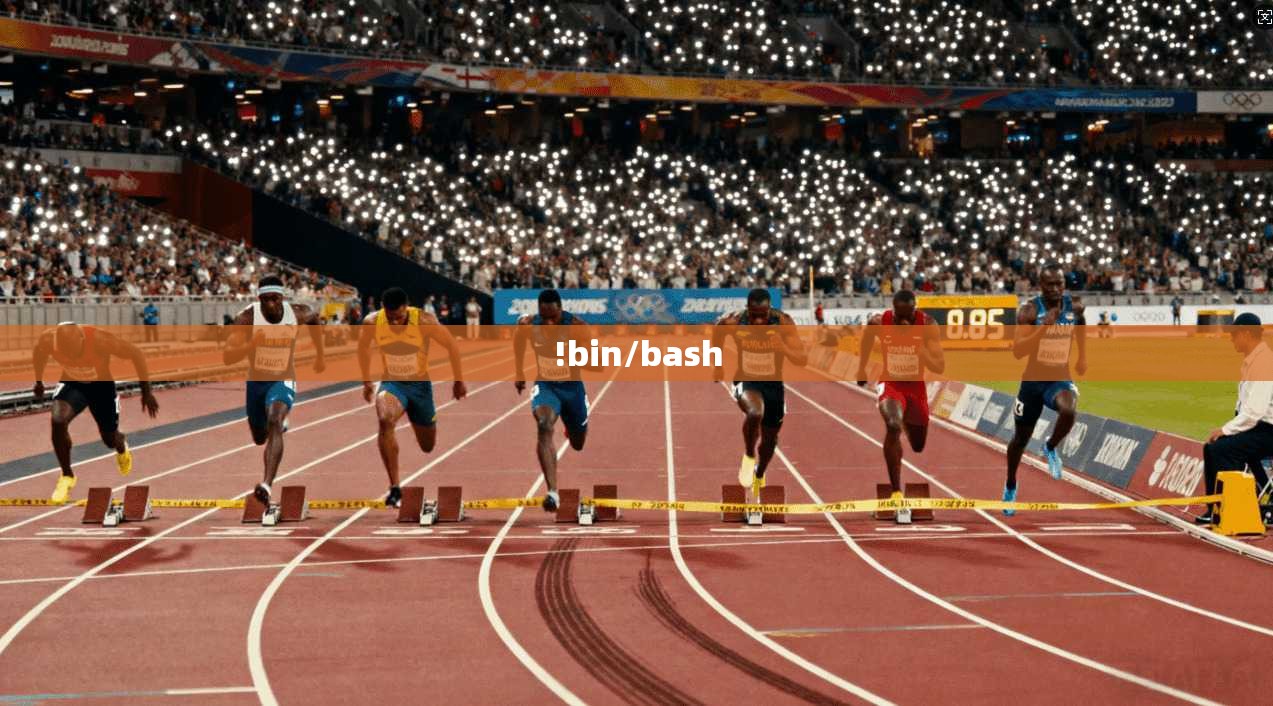 !bin/bash  第1张