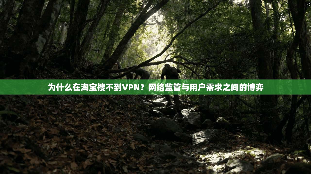 为什么在淘宝搜不到VPN？网络监管与用户需求之间的博弈  第1张