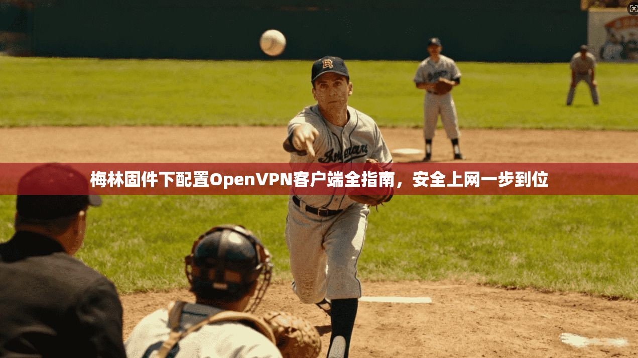 梅林固件下配置OpenVPN客户端全指南,安全上网一步到位 第1张 梅林固件下配置OpenVPN客户端全指南,安全上网一步到位 第1张