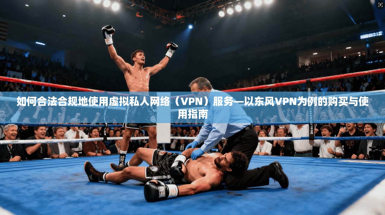 如何合法合规地使用虚拟私人网络(VPN)服务—以东风VPN为例的购买与使用指南 第1张 如何合法合规地使用虚拟私人网络(VPN)服务—以东风VPN为例的购买与使用指南 第1张